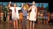 Théâtre Studio 70, NOS GRANDES ET PETITES HISTOIRES, Le Petit Malade, vendredi 16 juin 2017, Hôtel de Ville de Sarreguemines. 