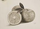 Stage dessin nature morte