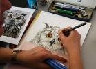 Stage dessin, l’art du dessin animalier - suite