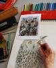 Stage dessin, lâ€™art du dessin animalier - suite