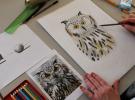 Stage dessin, lâ€™art du dessin animalier - suite