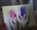 Stage dessin aquarelle