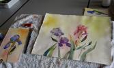 Stage dessin aquarelle