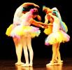 Danse classique de 6 à 12 ans au gala de danse classique le 1er juin 2025