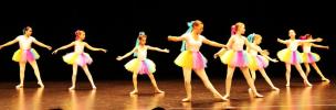 Danse classique de 6 à 12 ans au gala de danse classique le 1er juin 2025