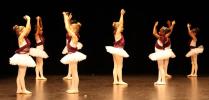 Danse classique de 6 à 12 ans au gala de danse classique le 1er juin 2025
