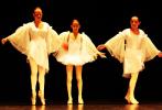 Danse classique de 6 à 12 ans au gala de danse classique le 1er juin 2025